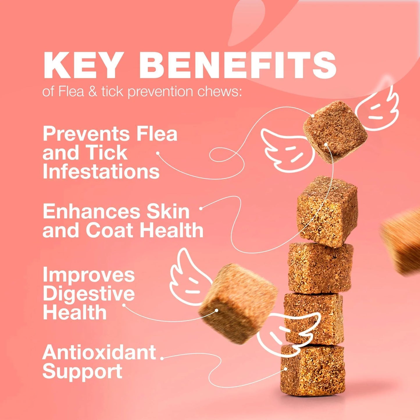 Insects Treatment for Cats Daily Oral Cat Insects Treatment Chews Chewable