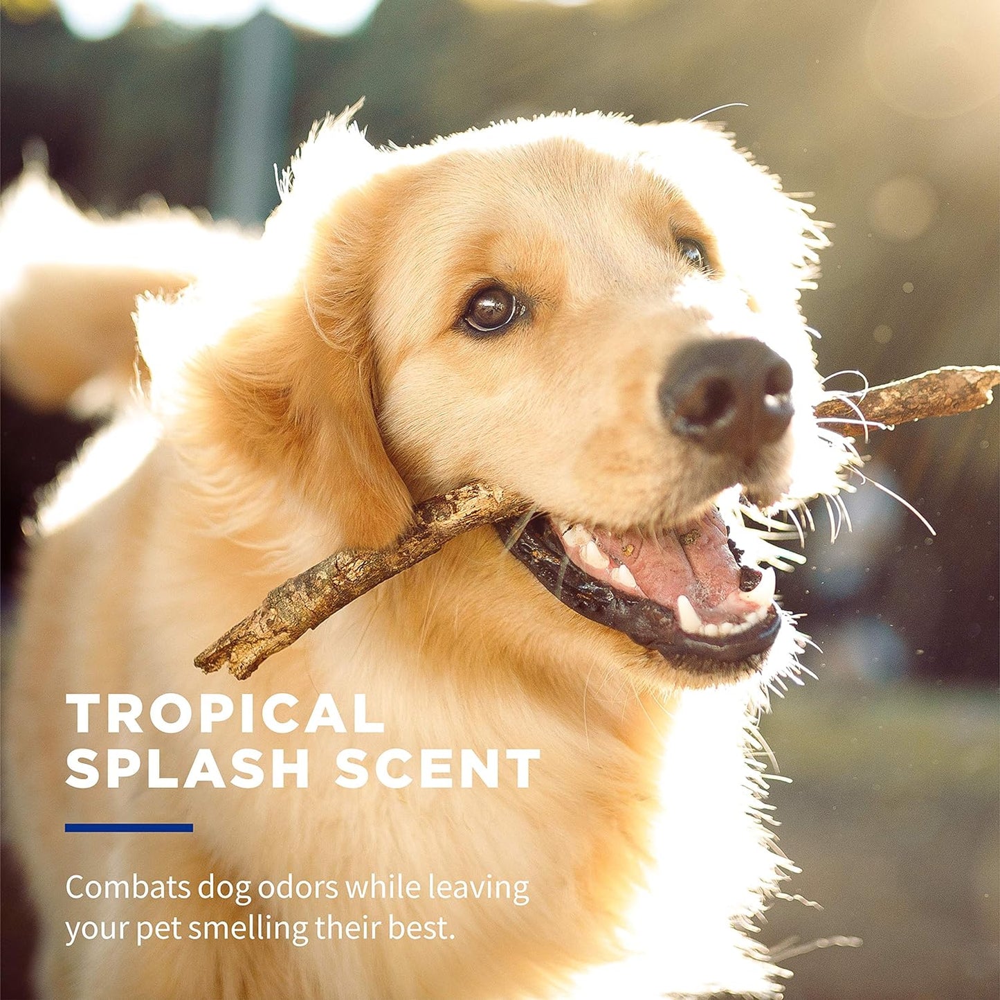 for Pets Deodorizing Multi-Purpose Dog Wipes with Baking Soda Dog Deodorizing Wipes for All Dogs in Tropical Splash Scent, Wipes with Wet Lock Seal Pouch Dog Wipes(Pack of 1,30 Count)