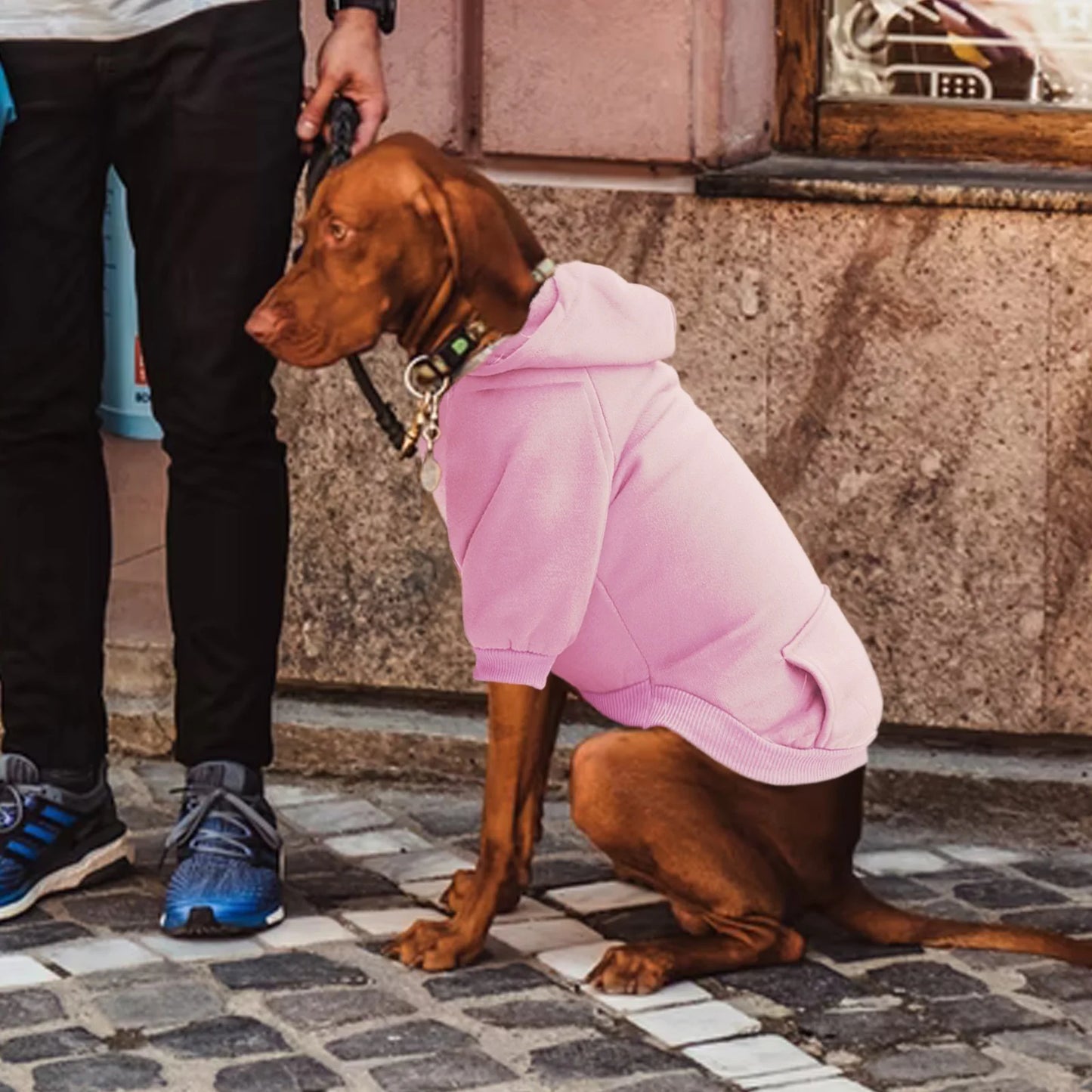 Dog Sweaters for Small Dogs, Dogs Puppy Sweater Boy for Small with Pocket Warm Dog Medium Hoodie Girl Fall Clothes Winter Fleece Pet Clothes Pink
