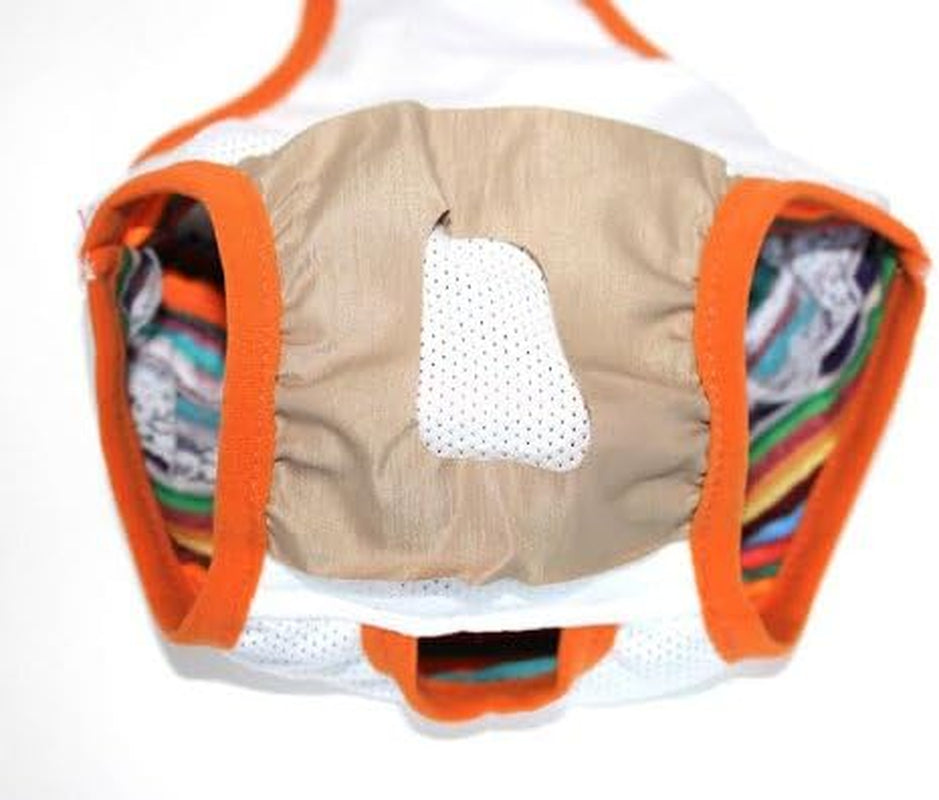 Striped Pet Dog Diaper with Suspenders Reusable Washable Stay on Female Girl for Small Dog Breeds (#14 Waist 14"- 17" Length 12" - 14")