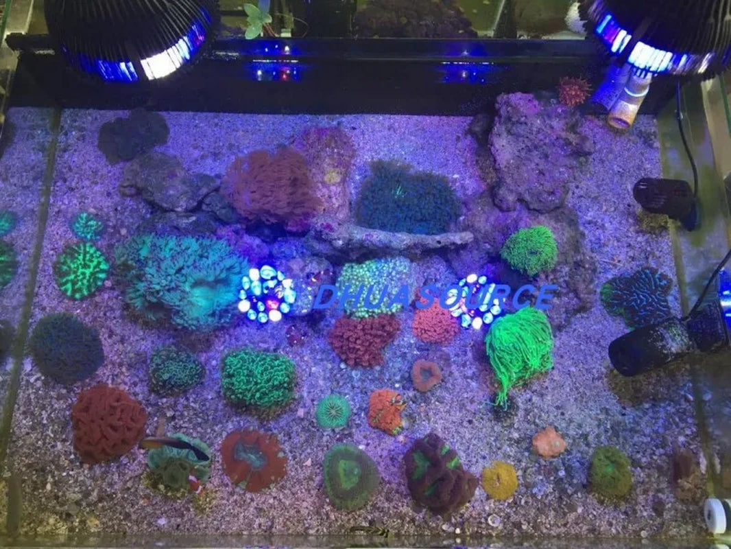 Full Specturm LED Aquarium Reef Light Grow Lamp Fish Tank Bulb for Coral Fish Saltwater Nanotank Plant SPS LPS