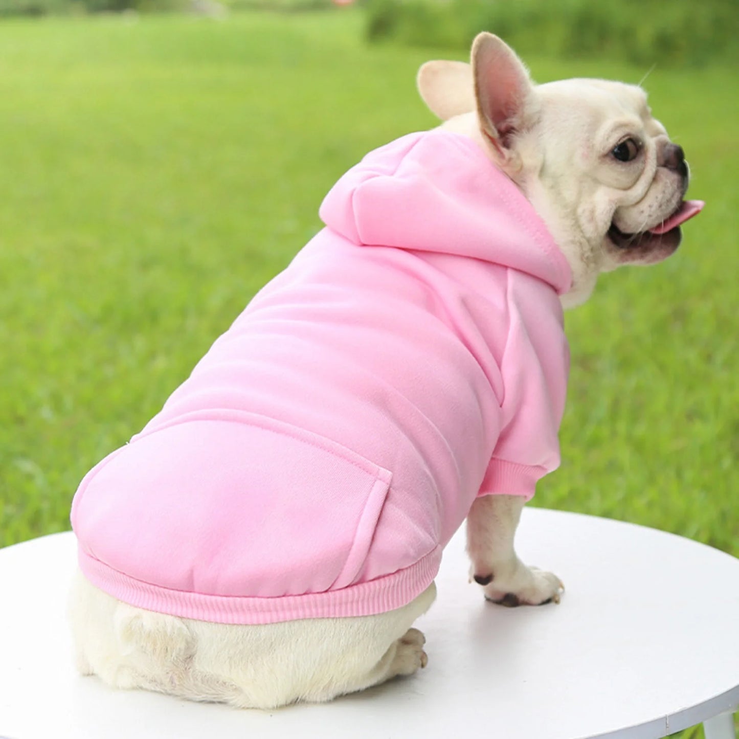 Dog Sweaters for Small Dogs, Dogs Puppy Sweater Boy for Small with Pocket Warm Dog Medium Hoodie Girl Fall Clothes Winter Fleece Pet Clothes Pink