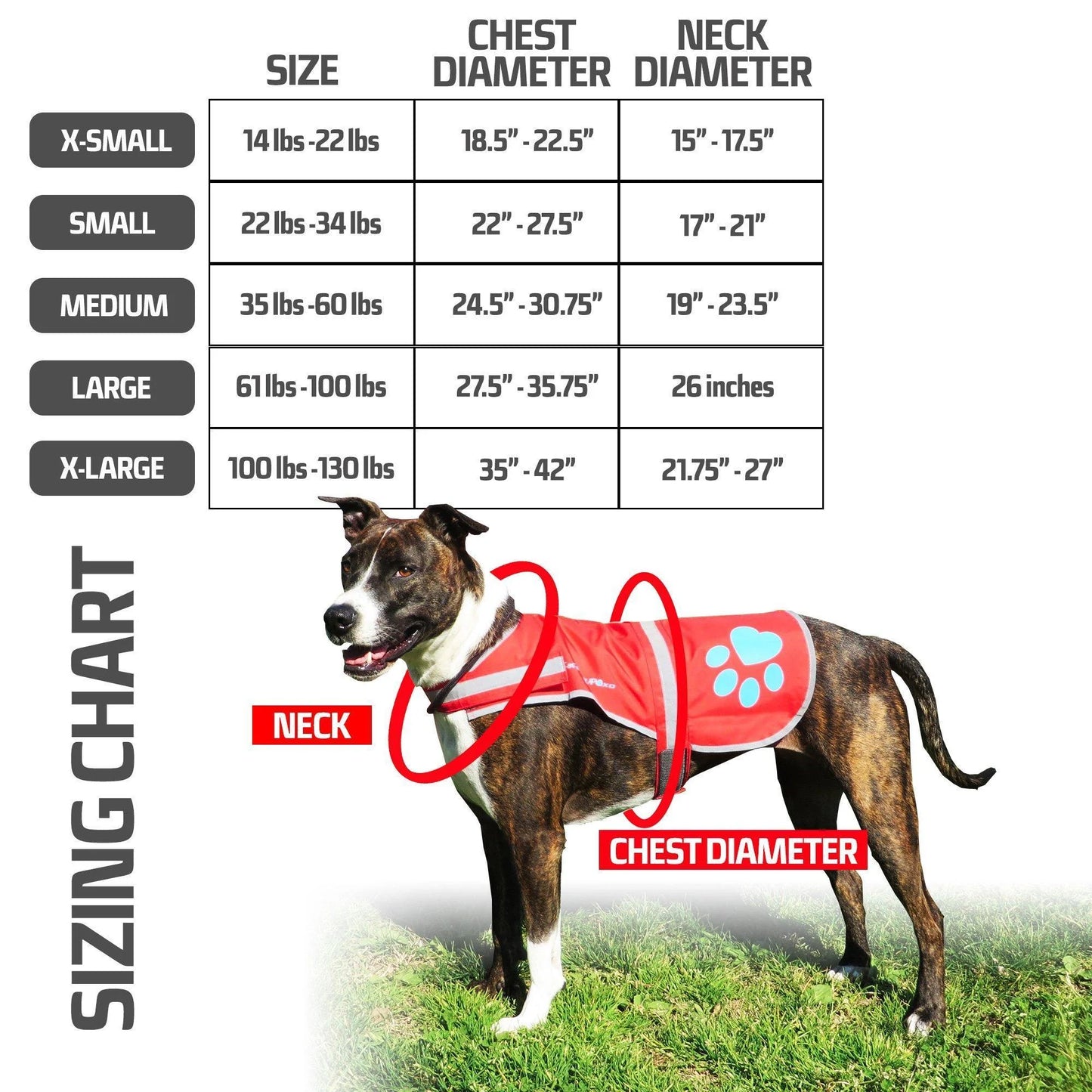 Dog Reflective Vest Chest Size 27.63 in Neck Size 19 M Size in with Hi Vis