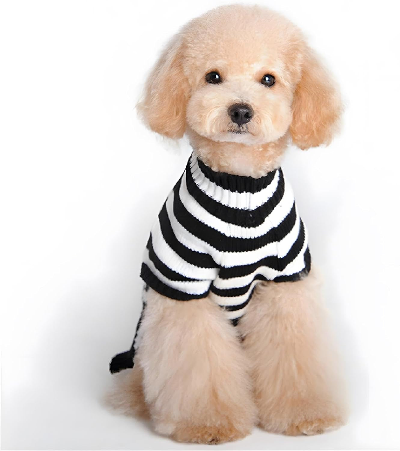 Pet Sweaters Skeleton Sweater the Cat Dog Clothes Pet Clothing Little Puppy Dog Sweaters (Small) Black