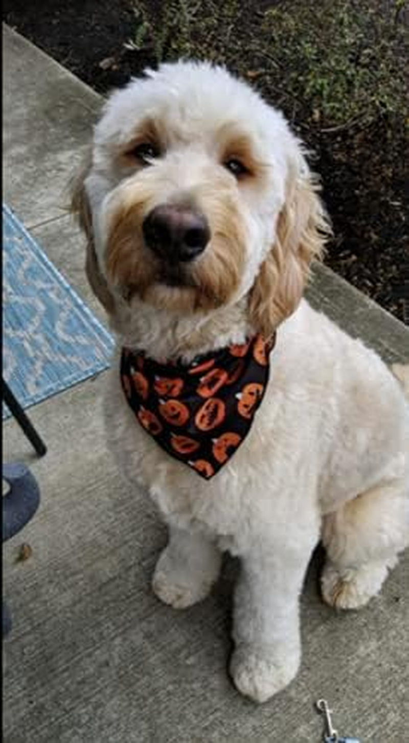 Set of 2 Halloween Dog Bandana Plaid Reversible Triangle Bibs Scarf Accessories for Dogs Pets