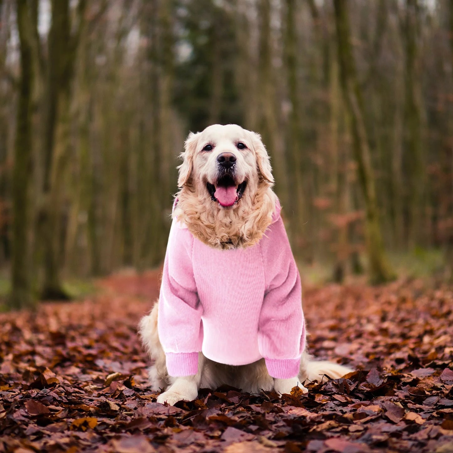 Dog Sweaters for Small Dogs, Dogs Puppy Sweater Boy for Small with Pocket Warm Dog Medium Hoodie Girl Fall Clothes Winter Fleece Pet Clothes Pink