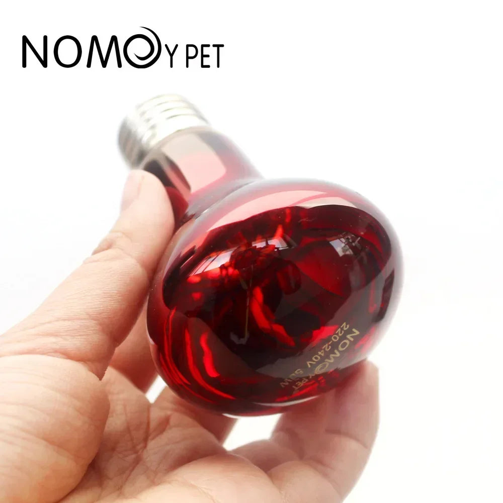 25-100W Reptile Heat Lamp Bulb Infrared Basking Spot Lamp 220V Amphibian Snake Lamp Heat Reptile Bulbs Tortugas