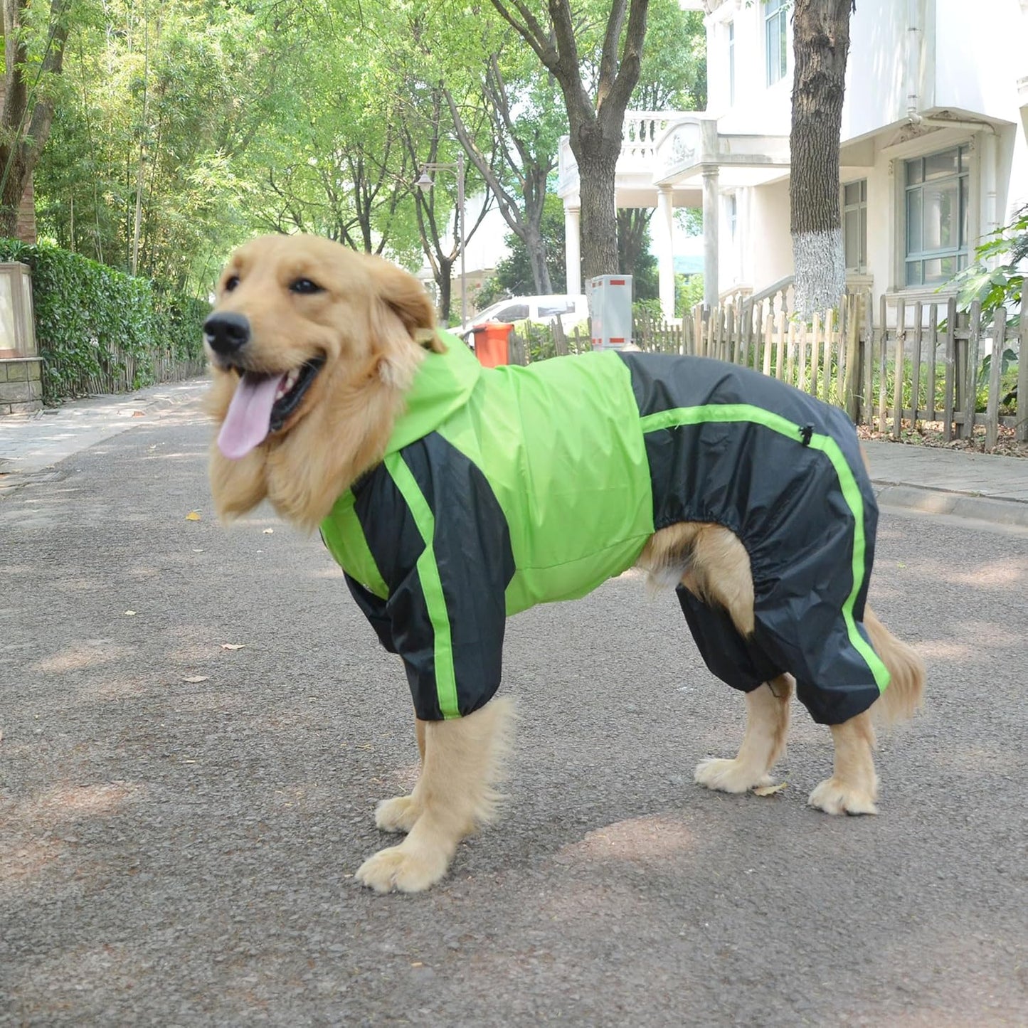 Pet Apparel Large Dog Clothing Raincoat Pet Clothes Rain Coat for Big Large Dogs Red Green Waterproof (L-M, Green)