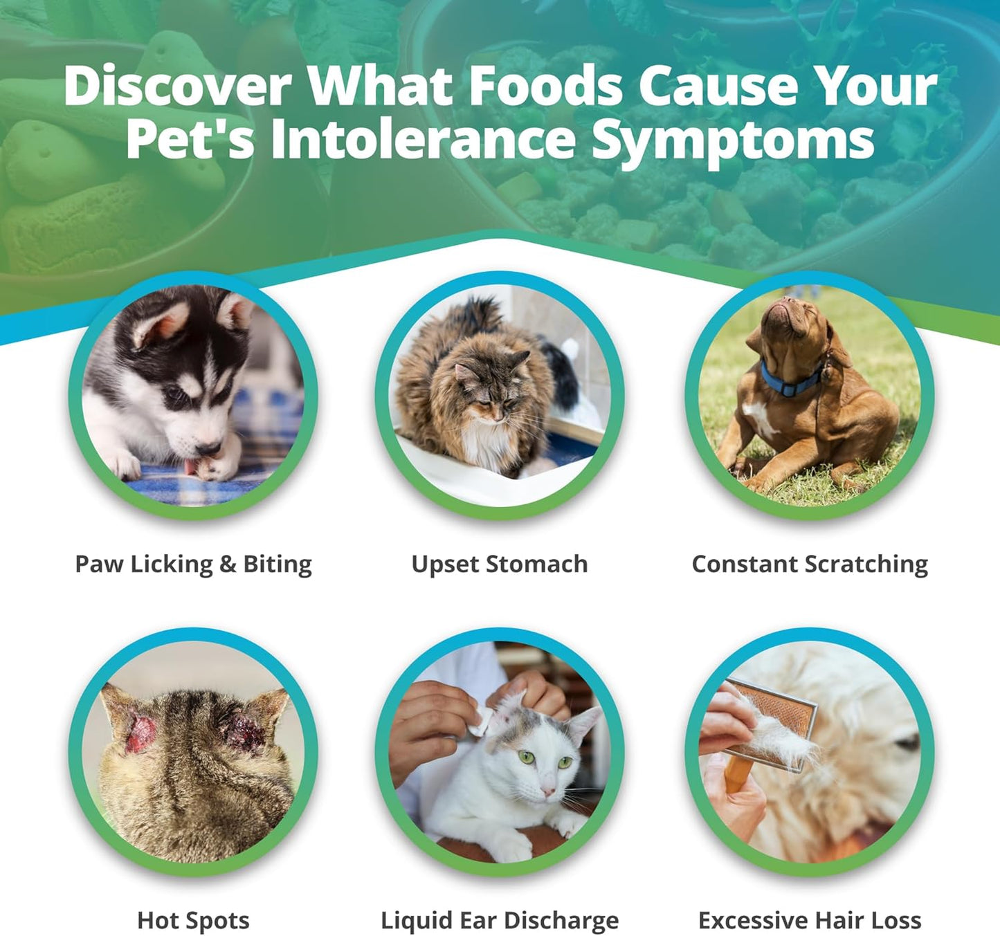 Pet Food Intolerance Test, at Home Sensitivity Test for Dogs & Cats, 270 Items, Hair Analysis, Accurate for All Ages & Breeds, Pet Gut Health, Fast 5 Day Results