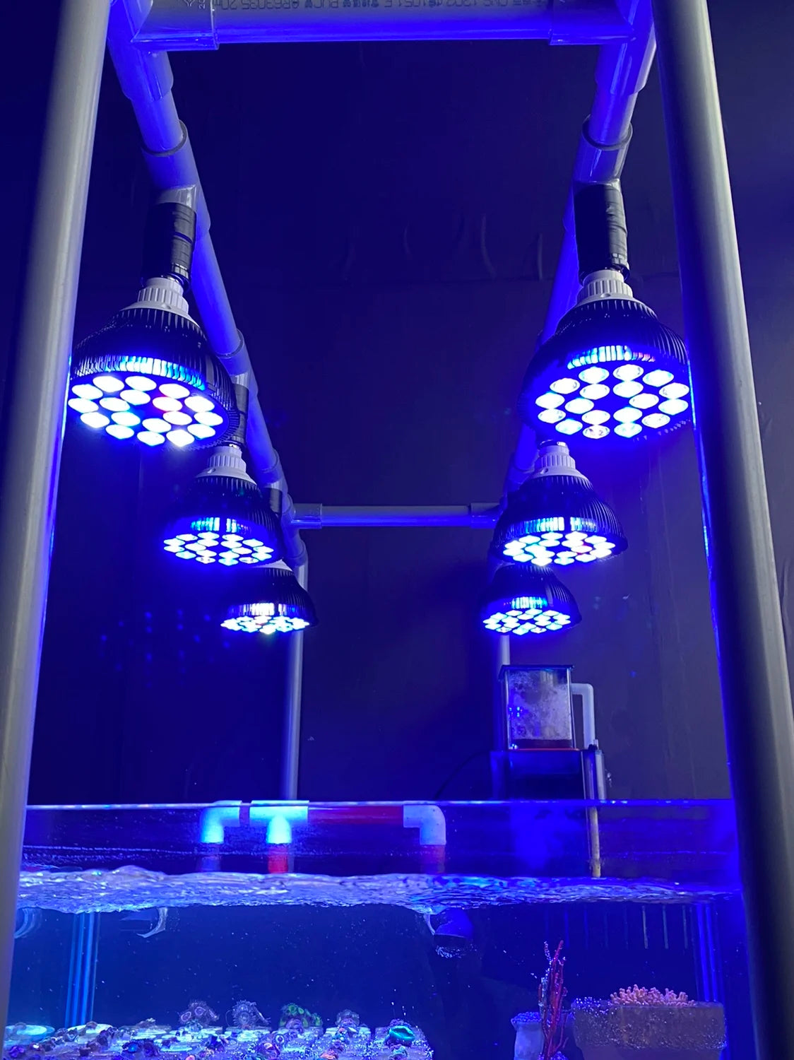 Full Specturm LED Aquarium Reef Light Grow Lamp Fish Tank Bulb for Coral Fish Saltwater Nanotank Plant SPS LPS