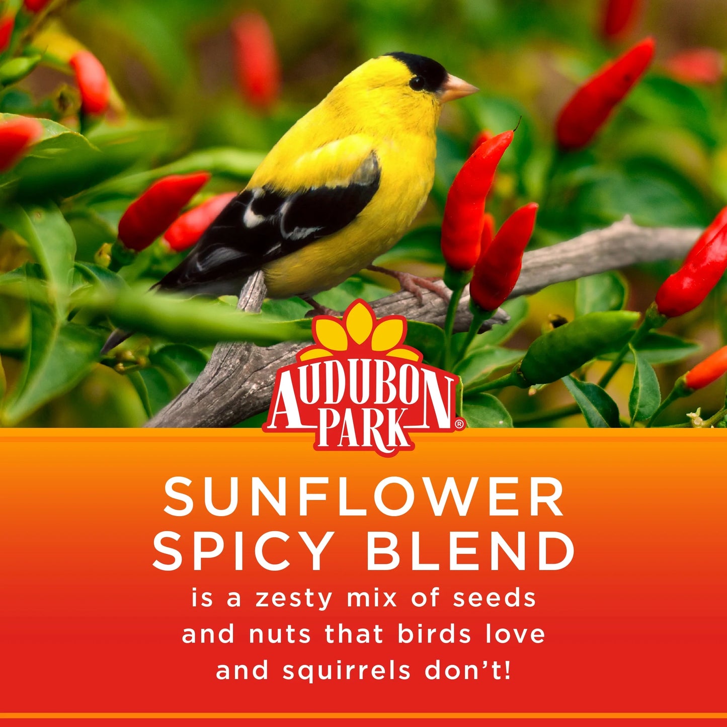Sunflower Spicy Blend Wild Bird Food, Dry, 1 Count per Pack, 5 Lb. Bag