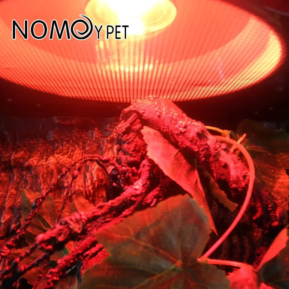 25-100W Reptile Heat Lamp Bulb Infrared Basking Spot Lamp 220V Amphibian Snake Lamp Heat Reptile Bulbs Tortugas
