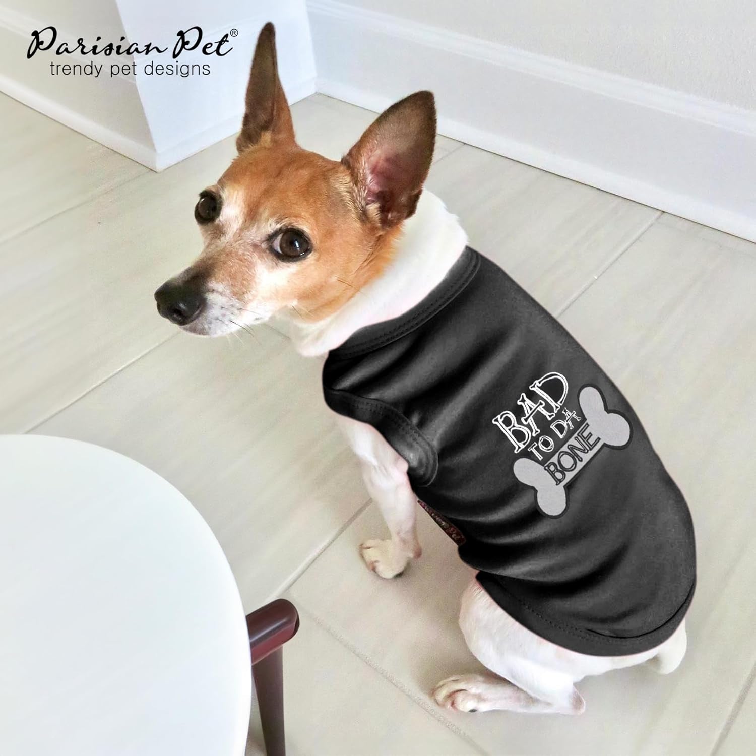 🐾 Dress to Impress: Pet Apparel at Paws X Claws Emporium 🐾