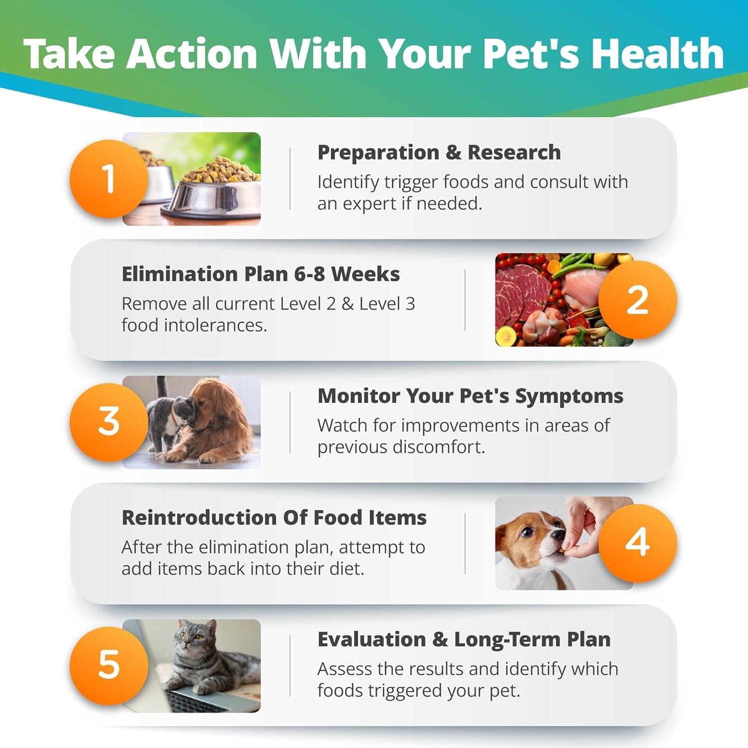 Pet Food Intolerance Test, at Home Sensitivity Test for Dogs & Cats, 270 Items, Hair Analysis, Accurate for All Ages & Breeds, Pet Gut Health, Fast 5 Day Results
