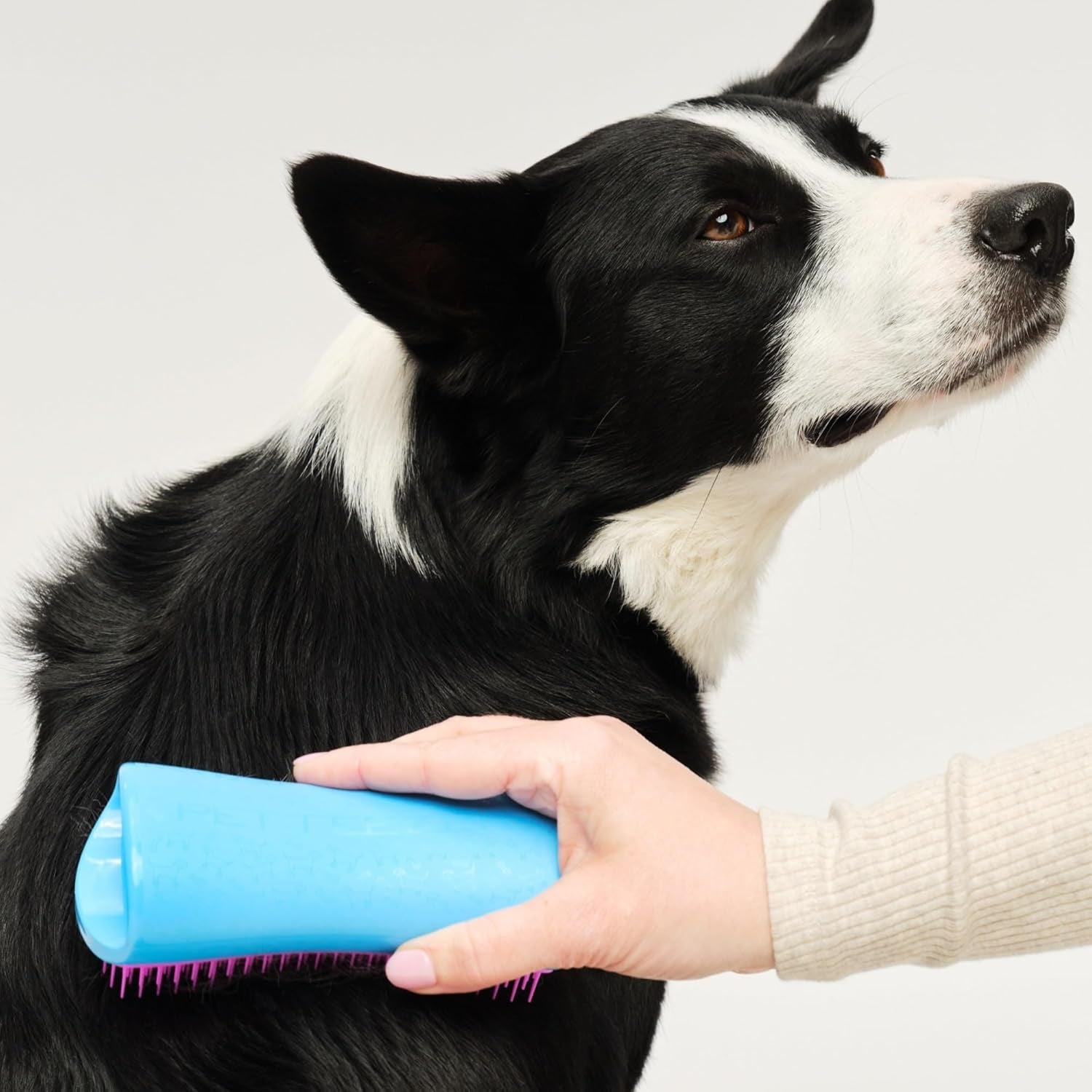 De-Shedding Dog Brush by , Dog Grooming Tool for Long Haired Breeds and Wet or Dry Fur, Large, Blue & Pink