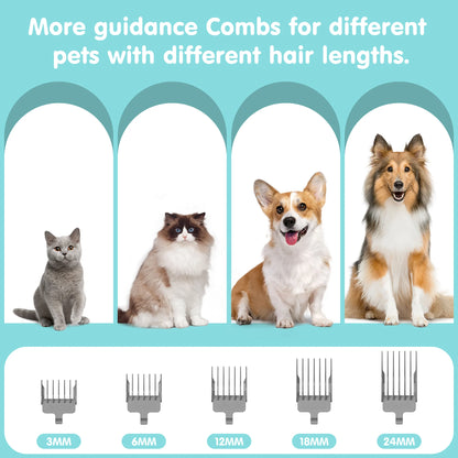 Professional 6-In-1 Dog Grooming Vacuum Kit - 11000PA High Suction & 1.5L Large Capacity | 99% Hair Removal with Complete Grooming Tools | High Suction Pet Vacuum for Professional Grooming