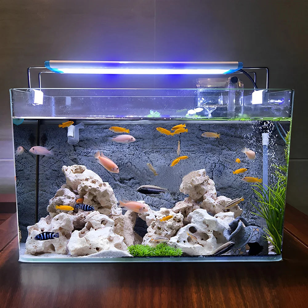 Fish Tank Transparent Glass Rectangular Aquarium Small and Medium Balcony Living Room Decoration Lazy Ecological Fish Tank