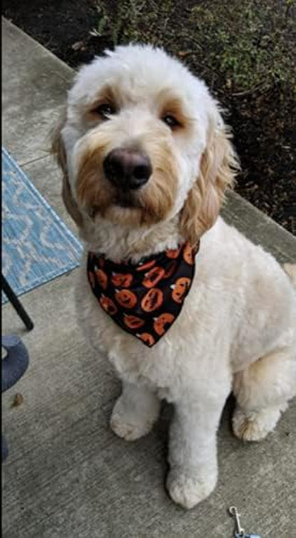 Set of 2 Halloween Dog Bandana Plaid Reversible Triangle Bibs Scarf Accessories for Dogs Pets