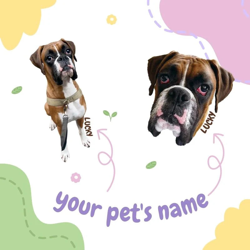 Custom Pet Keychain