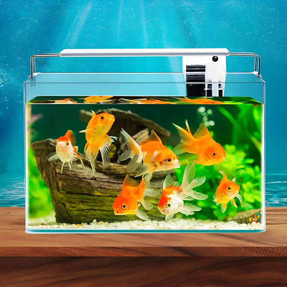 Fish Tank Transparent Glass Rectangular Aquarium Small and Medium Balcony Living Room Decoration Lazy Ecological Fish Tank