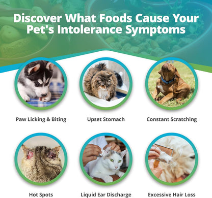 Pet Food Intolerance Test, at Home Sensitivity Test for Dogs & Cats, 270 Items, Hair Analysis, Accurate for All Ages & Breeds, Pet Gut Health, Fast 5 Day Results