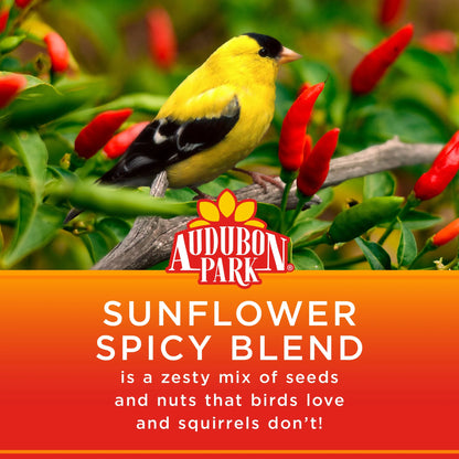 Sunflower Spicy Blend Wild Bird Food, Dry, 1 Count per Pack, 5 Lb. Bag