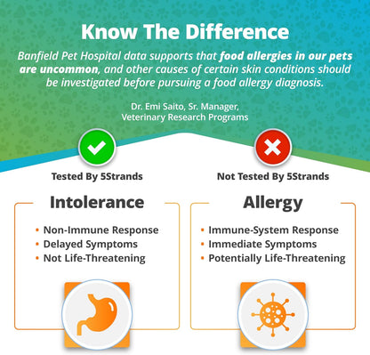 Pet Food Intolerance Test, at Home Sensitivity Test for Dogs & Cats, 270 Items, Hair Analysis, Accurate for All Ages & Breeds, Pet Gut Health, Fast 5 Day Results
