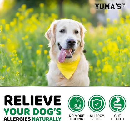 YUMA'S 2 Pack Dog Allergy Relief Chews Dog Itching Skin Relief Treatment Pills anti Itch for Dogs Itchy and Paw Licking Dry Skin & Hot Spots Omega 3 Fish Oil Skin & Coat Supplement