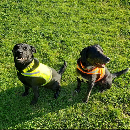 Lite Dog Vest Size Medium Coverage to Mid Back Reflective Hi Visibility